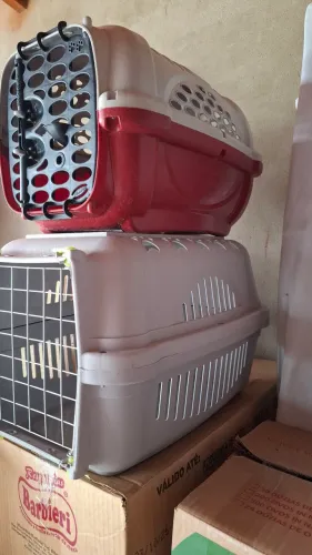 VITORIA DA CONQUISTA/ CAIXA TRANSPORTE GATO E CACHORRO 