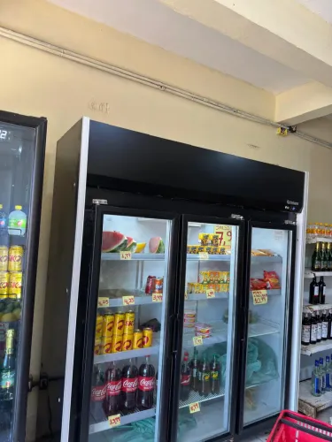 Vendo freezer e ilha congelada