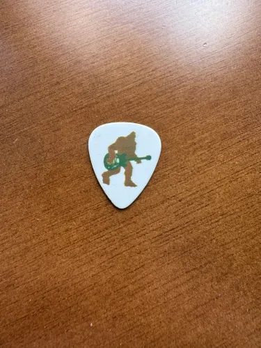 Palheta Blink 182 Tom Delong