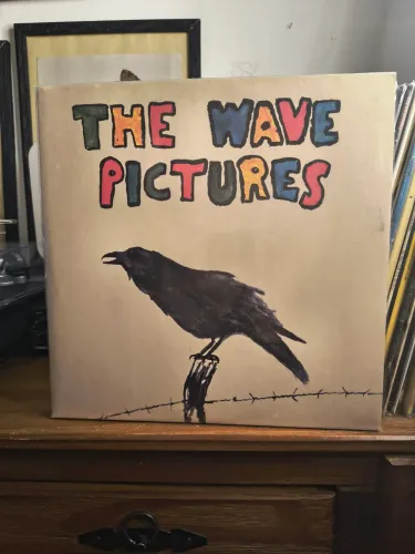 LP Vinil The Wave Pictures - City Forgiveness (Duplo- Branco - Indie/punk) 