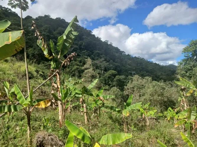 Fazenda á venda.