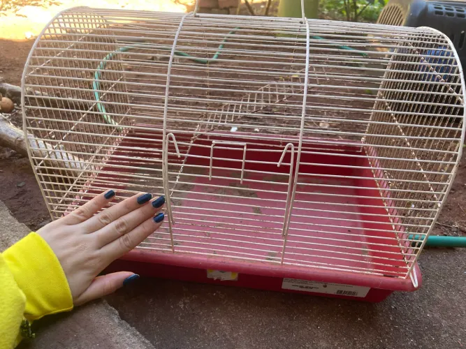 Gaiola hamster twister roedor rato acompanha brinde