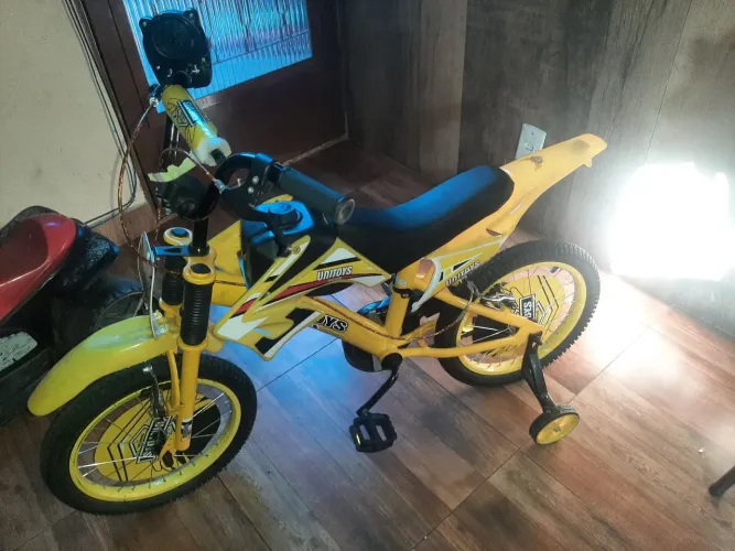 Bicicleta
