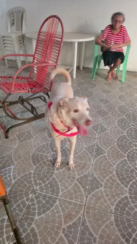 Léo
