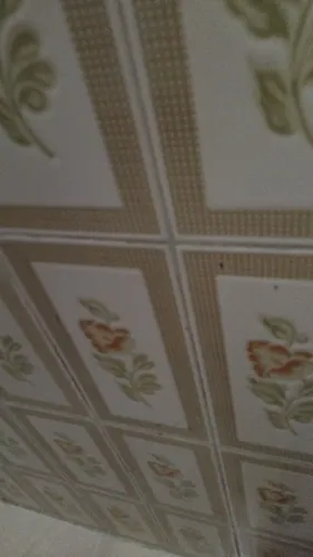 Serviços de limpeza faxinas em geral