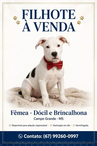 Vendo filhote de pitbull com Boxer femia