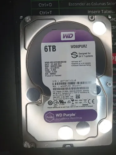 HD WD Purple 6 Tera