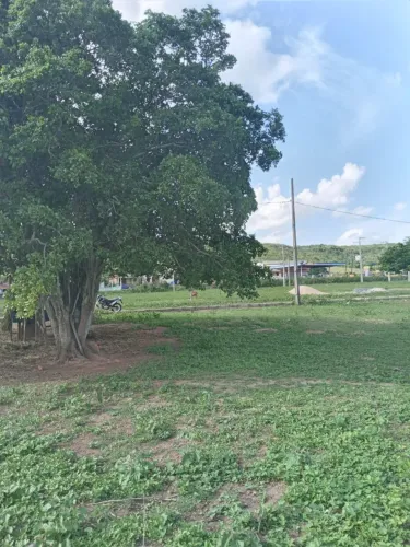 Terreno