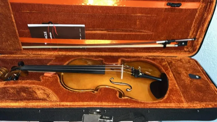 Violino Eagle VE 144
