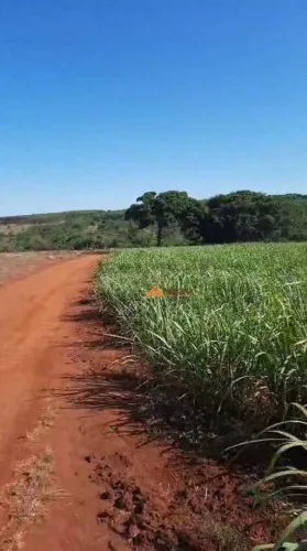 Fazenda à venda, 556600 m² por R$ 5.000.000,00 - Santo Antônio da Alegria - Santo Antônio 