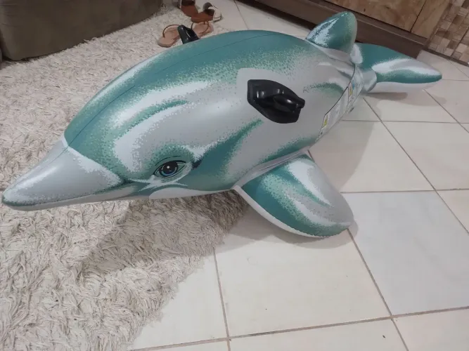 Boia inflável golfinho só 40 reais 