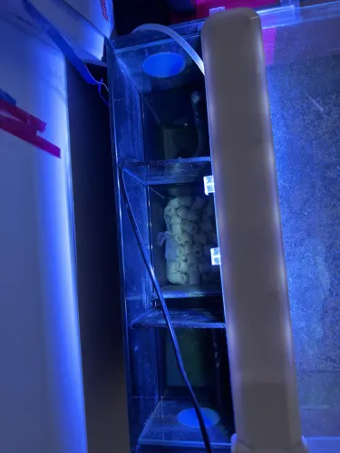 Aquário 35L