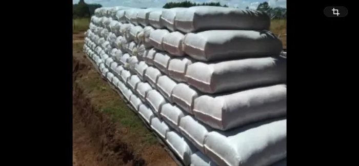 Silo de milho 100%