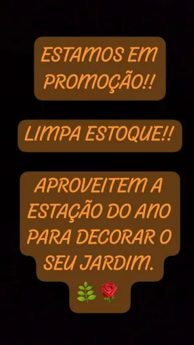 10 mudas a escolher...veja as fotos