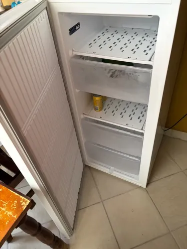 Freezer Electrolux