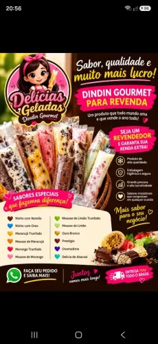 Delicias Geladas Dindin Gourmet 