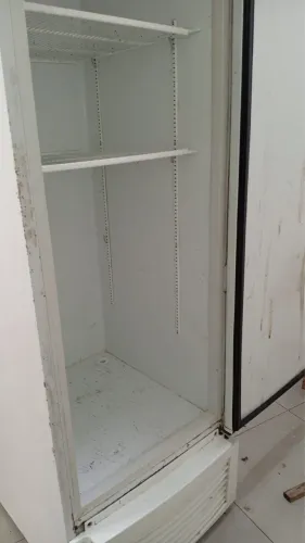 Freezer vertical