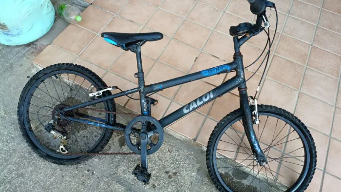 Bicicleta