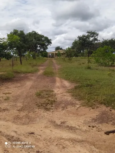 Fazenda 73 hectares 