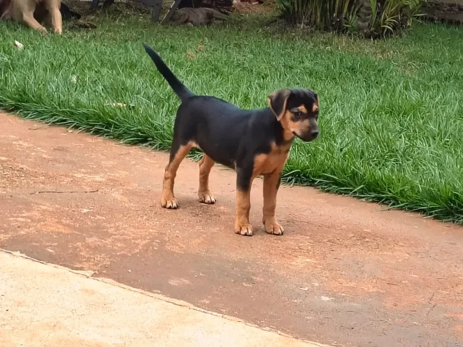 Doação