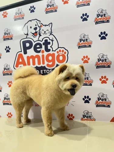 Pet shop