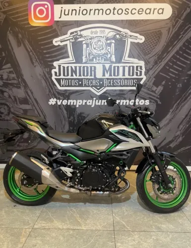 Z500 SE 500 SE CINZA 2025/2025