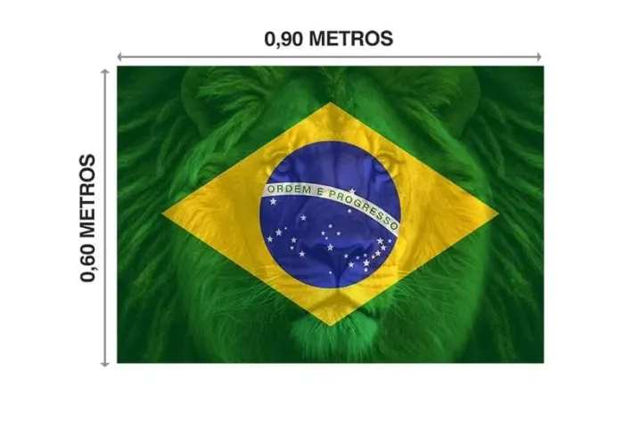 Bandeira do Brasil 90 x 60cm