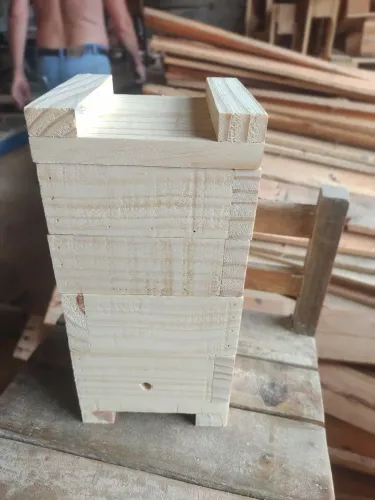 Caixas para jataí  asf