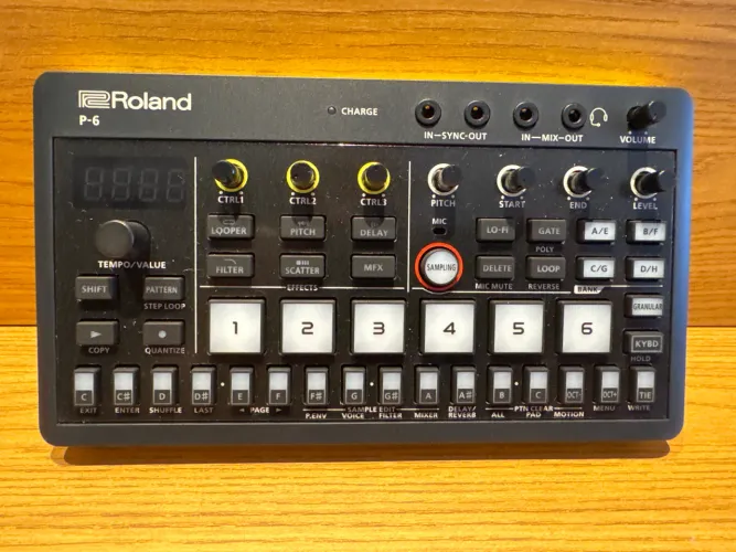 ROLAND P-6