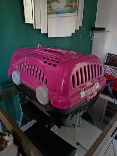 Doação uma caixa nova grande de transporte e uma gatinha junto