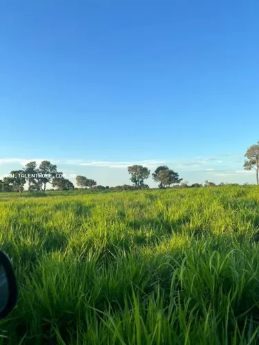 Fazenda para Venda em Miranda