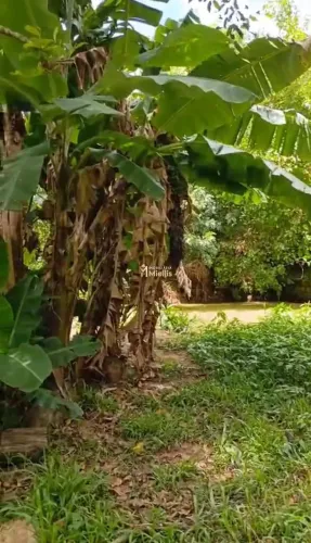 Terreno à venda em Viamão bairro São Lucas REF: