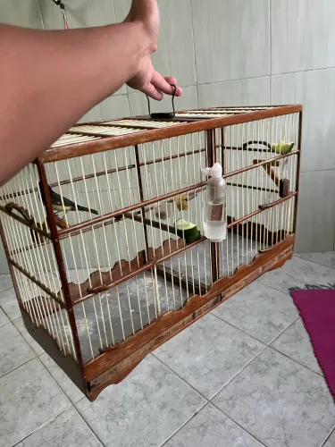 Gaiola