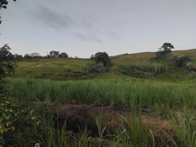Fazenda a venda em capela