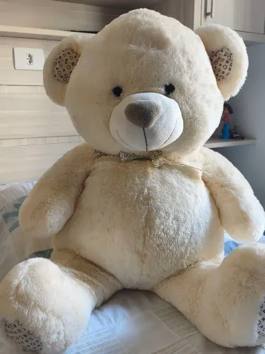 Urso de pelúcia ?dia dos namorados