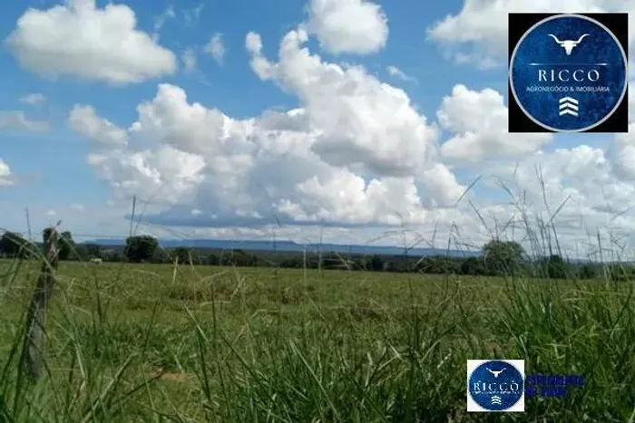 Fazenda à Venda em Aragarças/GO  90 Alqueires | Dupla Aptidão