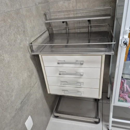 Carrinho de mdf e inox metalvet