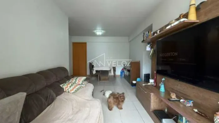 Apartamento : Padrão / Residencial / Catete
