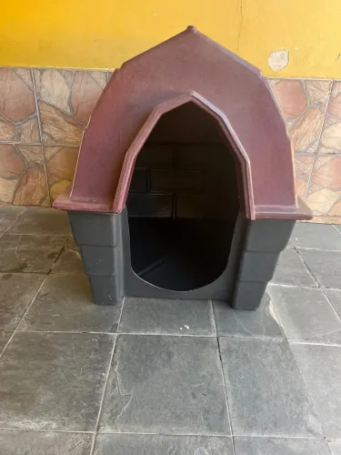 Acessórios para Pet