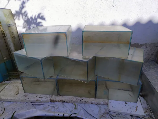 8 AQUÁRIOS SEMI CUBO