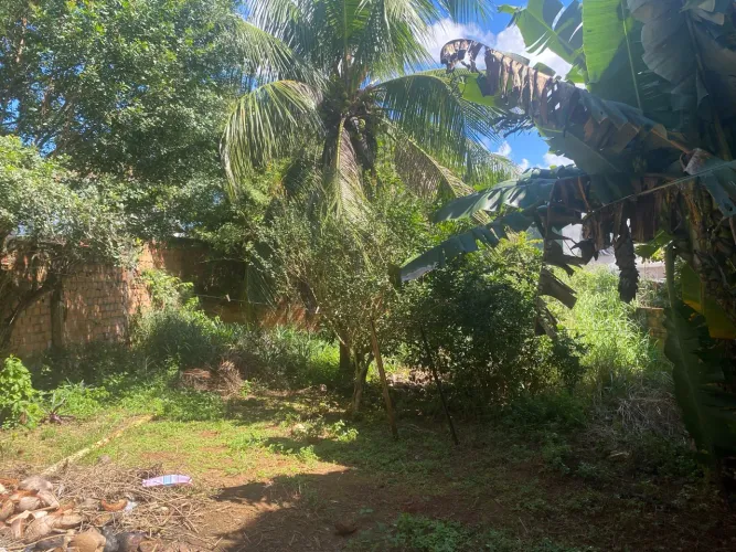 ? Terreno de 225 m² com área verde - Excelente oportunidade!