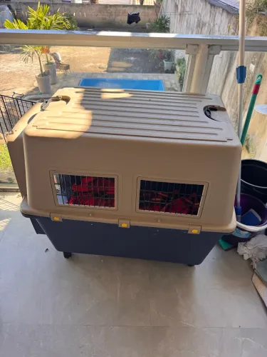 Casinha de cachorro de transporte