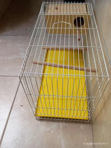 Gaiola para periquito