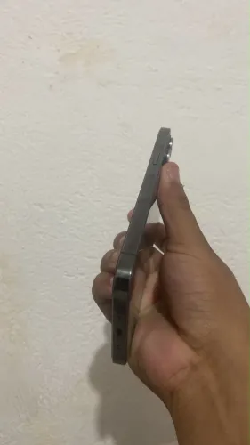 12 pro Max