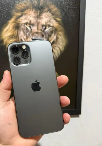 iPhone 12 Pro Max 256GB