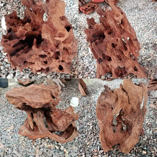 Troncos pra aquário e jardim 