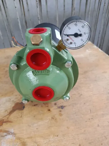 Bomba d'água centrífuga 1CV