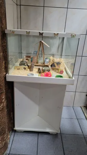 Gaiola Viveiro Vidro Roedores