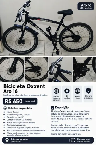 Bicicleta aro 16