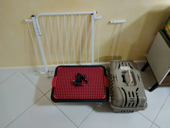 Kit para seu pet